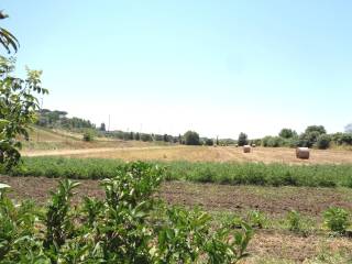 Terreno agricolo in vendita a roma via di ponte galeria, 181