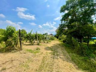 Terreno agricolo in vendita a vo' via dei colli