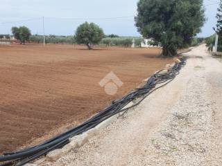 Terreno agricolo in vendita a fasano contrada lamascopone