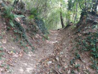 Terreno agricolo in vendita a pradalunga via spersiglio