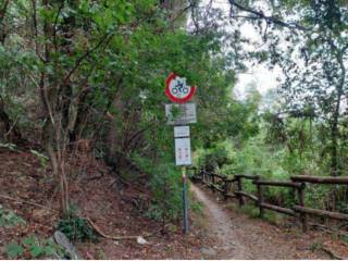 Terreno agricolo in vendita a pradalunga via spersiglio