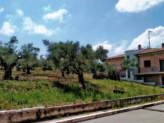 Terreno residenziale in vendita a rotello via traversa verdi snc