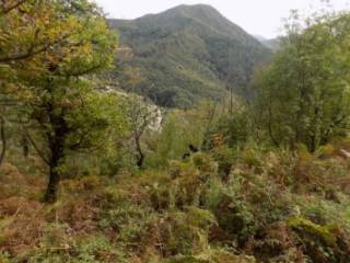 Terreno agricolo in vendita a montecorvino rovella contrada san lorenzo