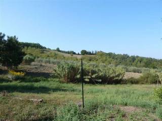 Terreno agricolo in vendita a castelnuovo di val di cecina leccia s.n.c.