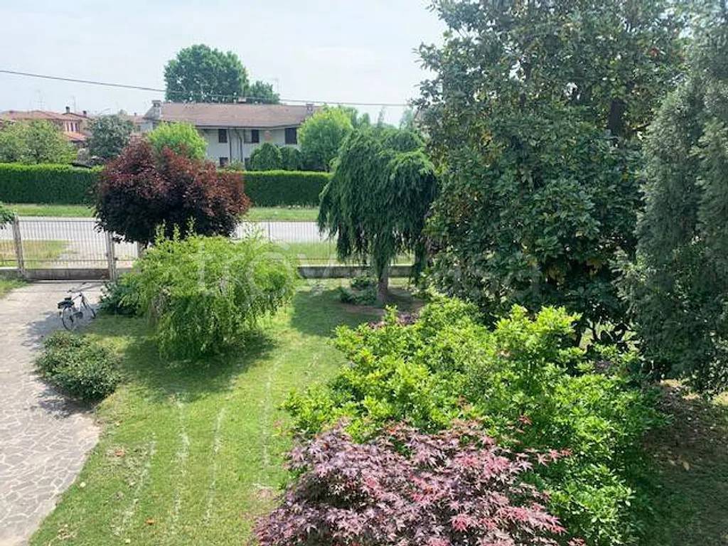 immagine annuncio 13 di 14