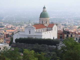 Negozio in affitto a ottaviano viale elena, 1