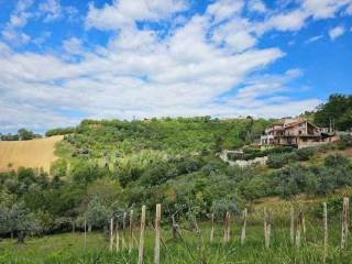 Terreno agricolo all'asta a chieti strada san salvatore