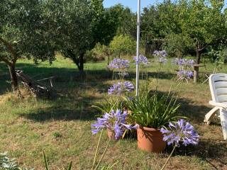 Terreno agricolo in vendita a livorno via di ostro