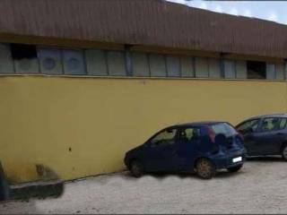 Capannone industriale all'asta a pontinia strada marittima