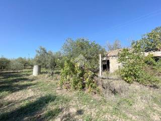 Terreno agricolo in vendita a vasto via macchione