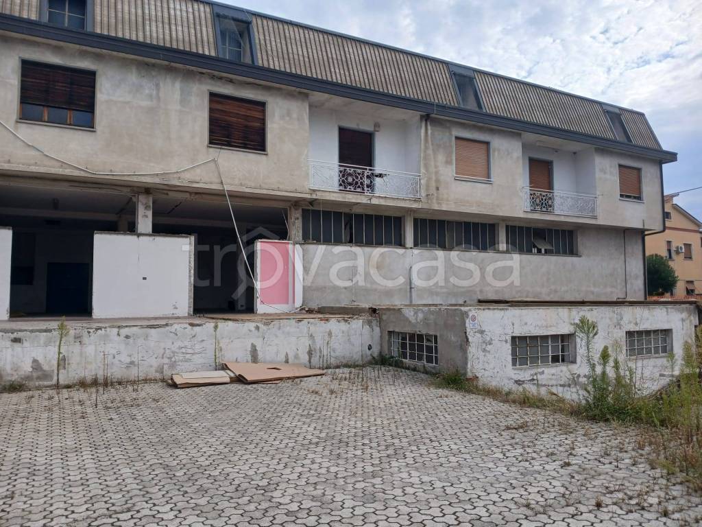 immagine annuncio 3 di 13