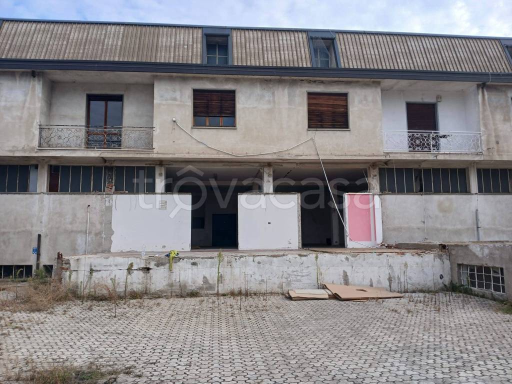 immagine annuncio 4 di 13