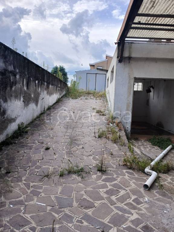 immagine annuncio 3 di 12