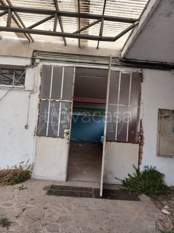 immagine annuncio 9 di 12