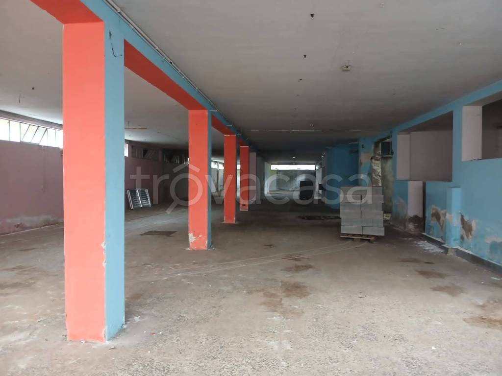 immagine annuncio 10 di 12