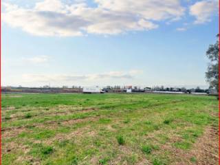 Terreno agricolo in vendita a latina via pontina