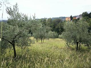 Terreno agricolo in vendita a fara vicentino via roma