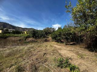 Terreno agricolo in affitto a napoli via paolo grimaldi