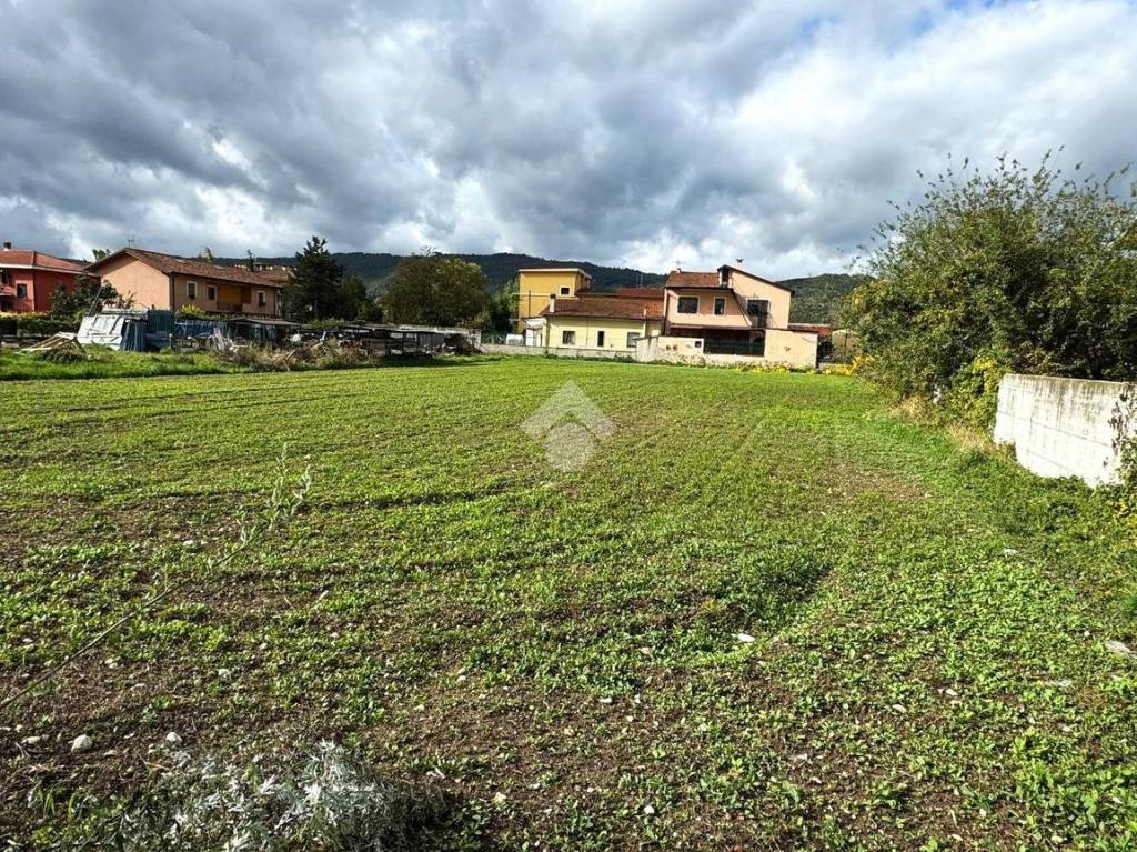 immagine annuncio 2 di 8