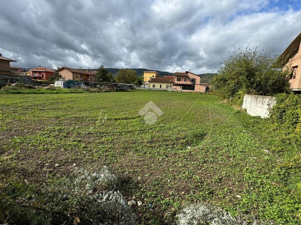 immagine annuncio 3 di 8