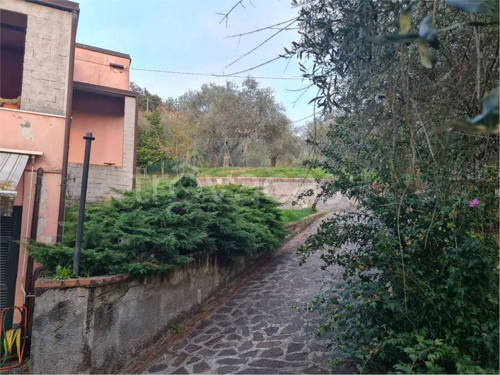 immagine annuncio 1 di 4