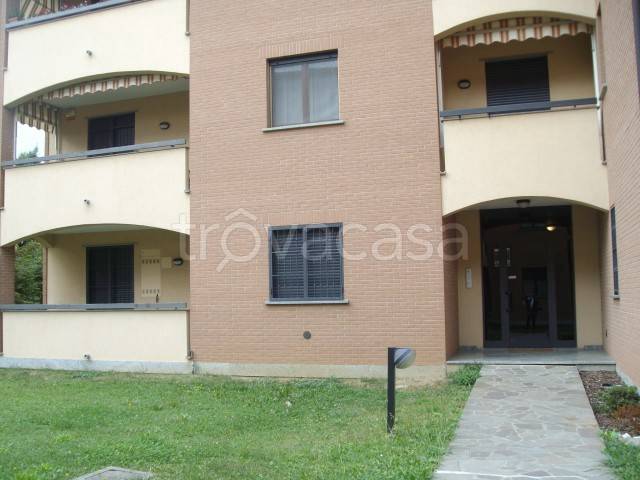 immagine annuncio 12 di 13