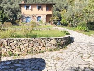 Villa in vendita a camaiore via da montebello a camaiore