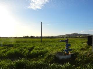 Terreno agricolo in vendita a recanati 