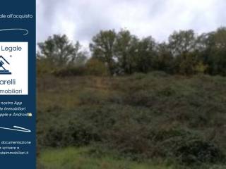 Terreno agricolo in vendita a greccio via cerroneto