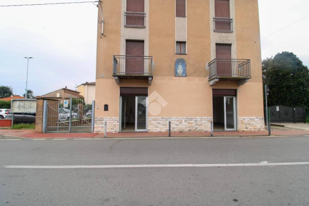 immagine annuncio 5 di 14