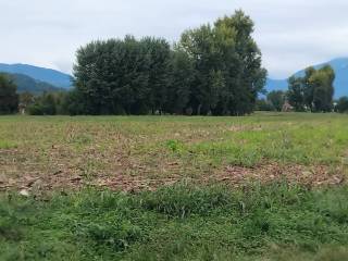 Terreno agricolo in vendita a isola vicentina via marotti