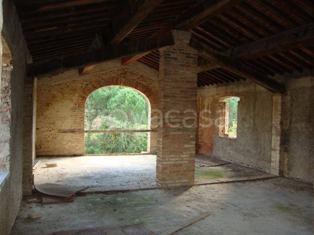immagine annuncio 7 di 8