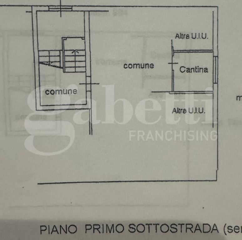 immagine annuncio 10 di 14
