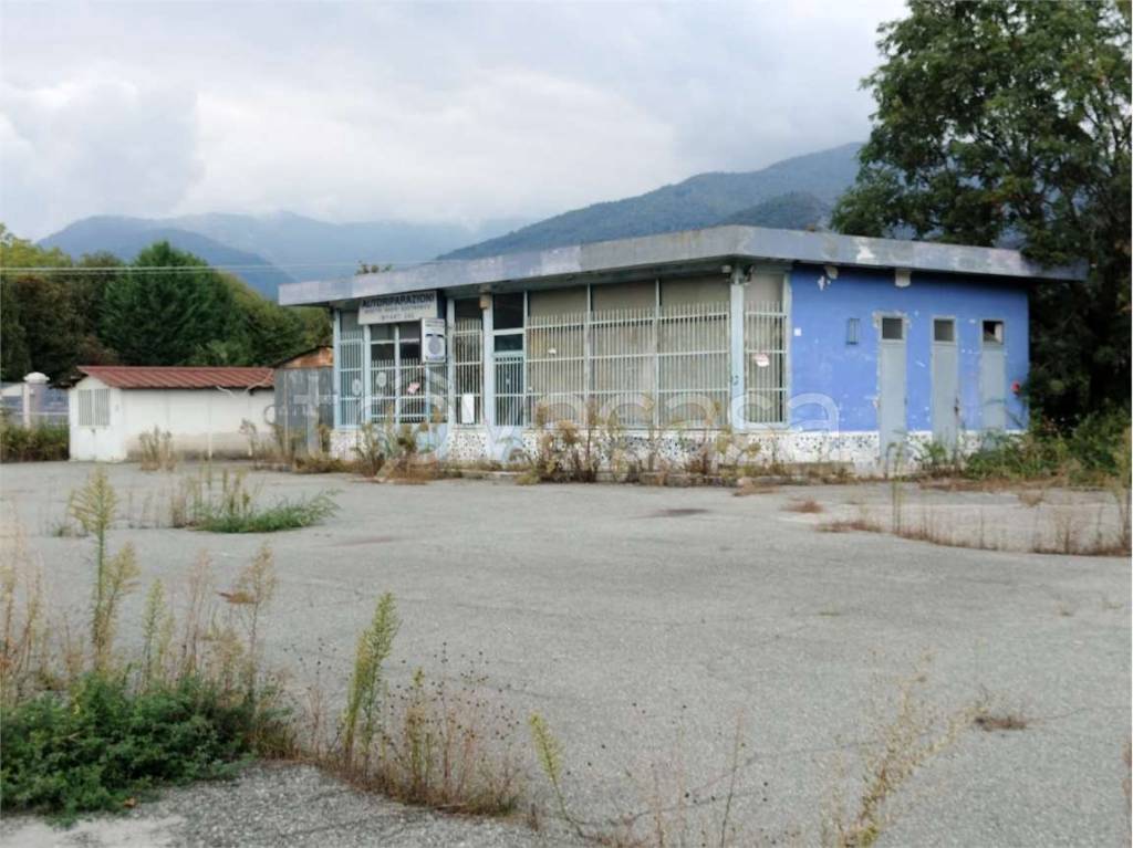 immagine annuncio 1 di 12