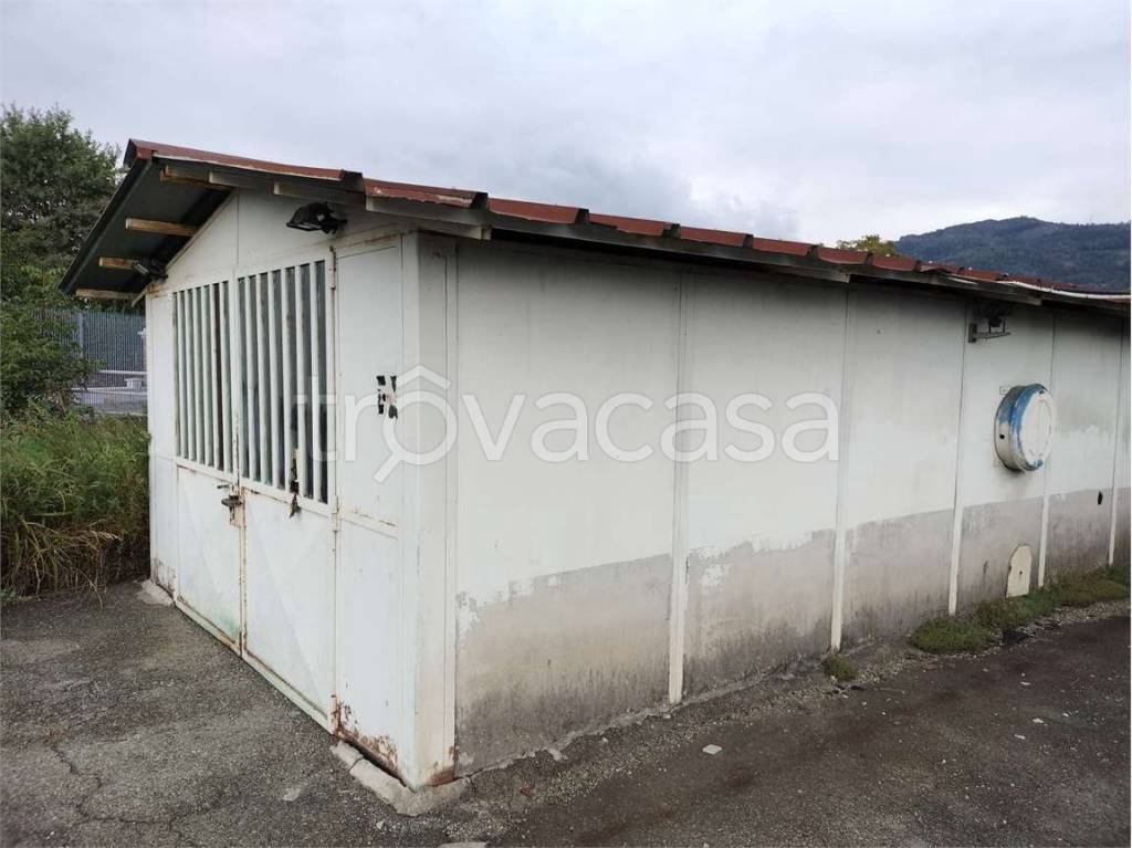 immagine annuncio 11 di 12