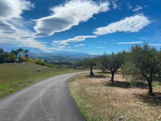 Terreno agricolo in vendita a elice strada provinciale 56