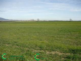 Terreno agricolo in vendita a vedelago 