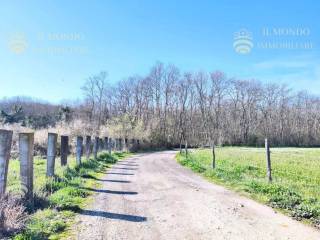 Terreno residenziale in vendita a monterotondo via del pisciarello