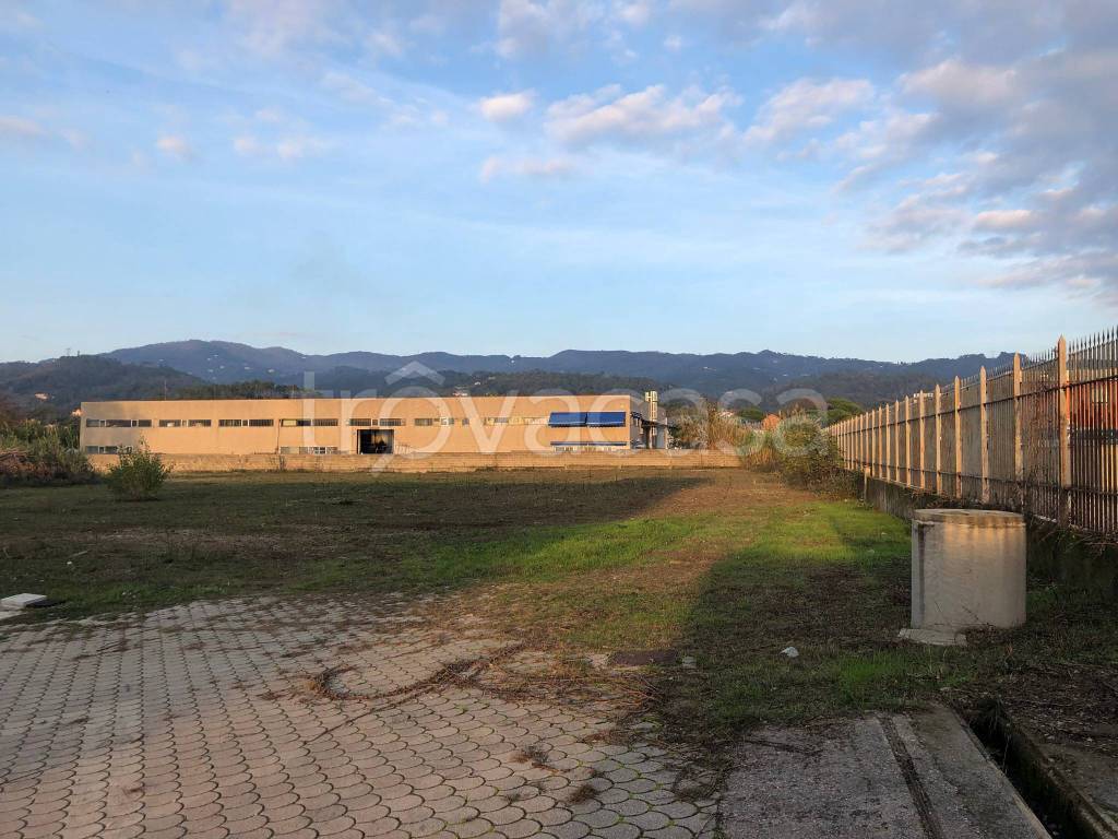 immagine annuncio 2 di 4