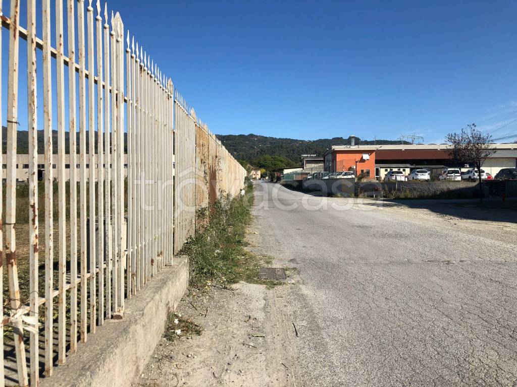 immagine annuncio 3 di 4