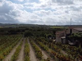 Terreno agricolo in vendita a sorso strada statale 200