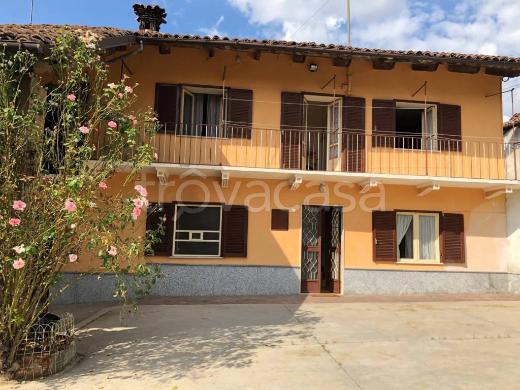 immagine annuncio 11 di 13