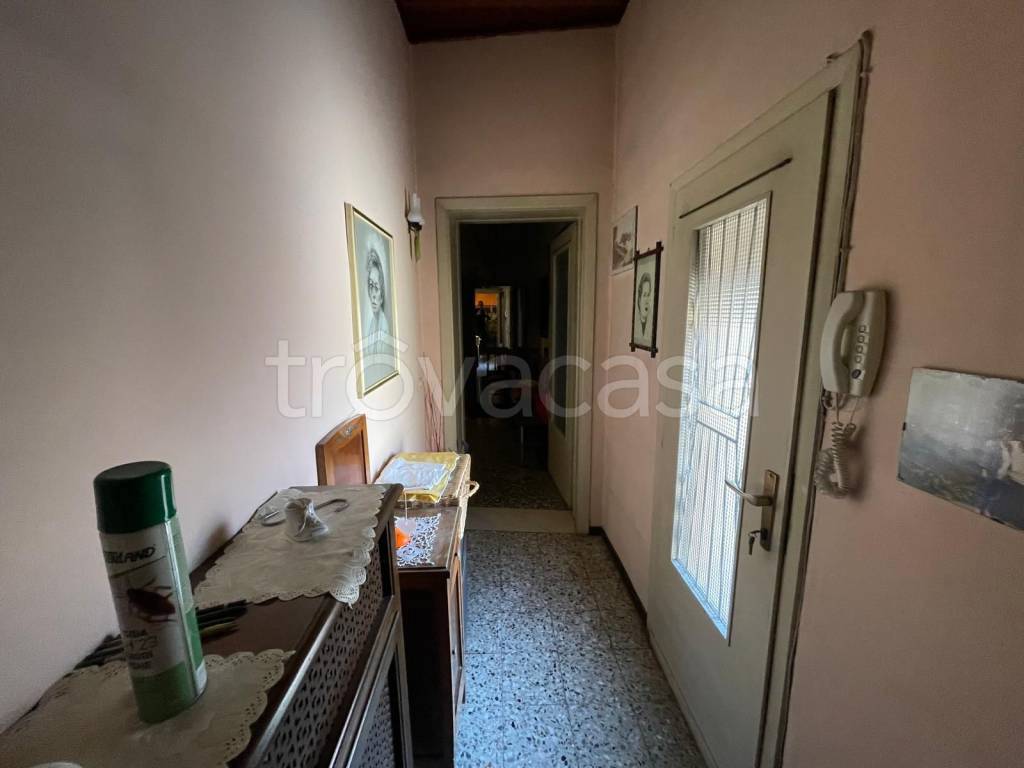 immagine annuncio 11 di 14