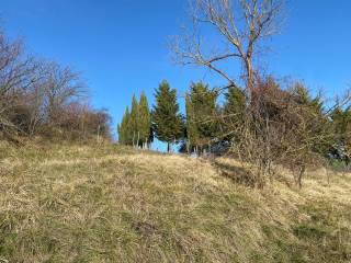 Terreno agricolo in affitto a bologna via di monte albano