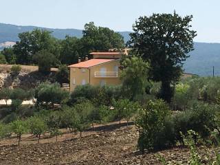 Villa in in vendita da privato a trivento fonte del cerro