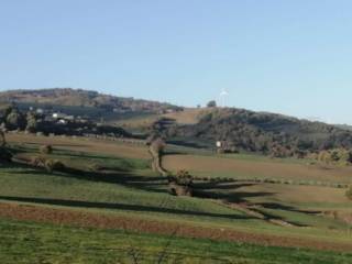 Terreno agricolo in vendita a reino ss212