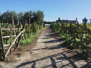 Terreno agricolo in vendita a roma via del casale del finocchio