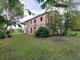 Casale in vendita a senigallia strada statale arciviese, 19