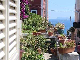 Casa indipendente in in vendita da privato a procida via centane