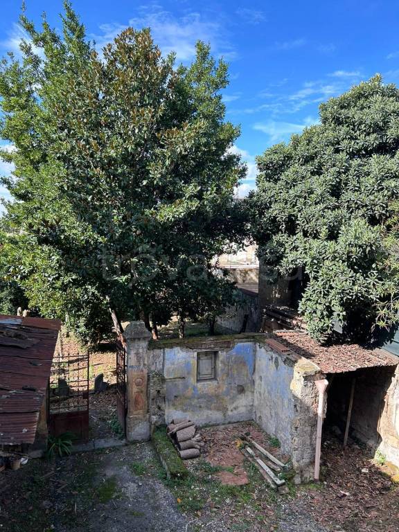 immagine annuncio 2 di 8